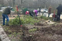 2025-12-01 Digging up old garden