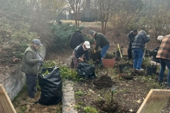 2025-12-01 old garden cleanup