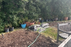 2025-12-01 New RSG home