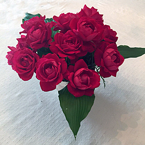 How to Grow and Care for Knock Out Roses