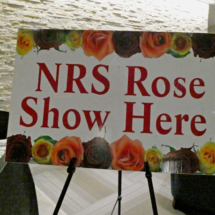 2021 Nashville Rose Show at Belmont University