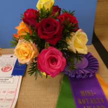 2021-09-NRS-Rose-Show-Mini-Royality-Mary-Hext