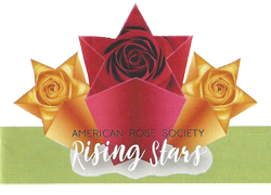 ARS-Rising-Stars